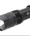 Personal Tactical Flashlight System